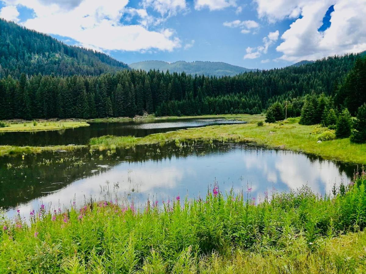 Secret Lake 533 At Oak Residence Smolyan Exteriör bild